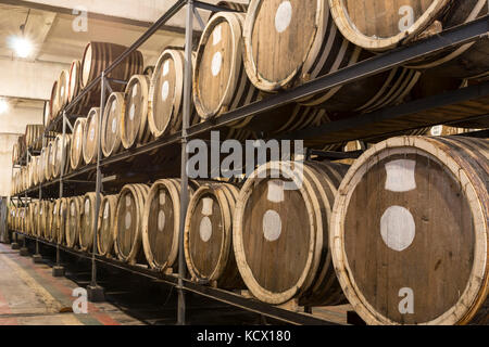 Scotch Whisky Barrel rows. Whiskey and brandy distillery. Oak barrel used to age whiskey. Stock Photo