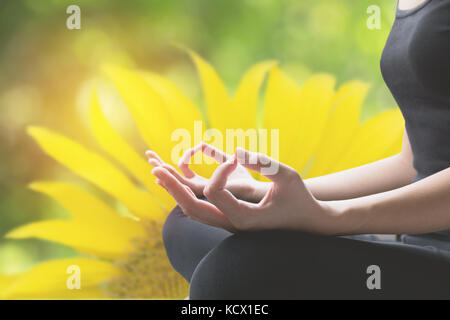 Close-up of feminine and masculine arms and crossed legs during meditation with sunflower background. Stock Photo