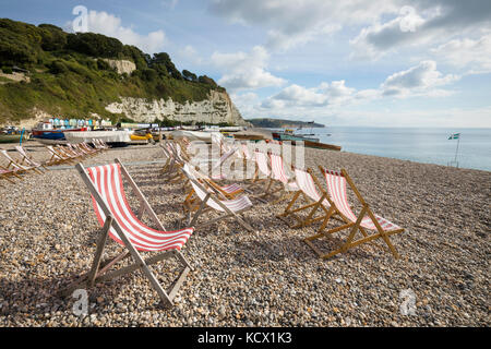 Deck chairs lined up along shingle beach in seaside town of Beer, Beer, Devon, England, United Kingdom, Europe Stock Photo