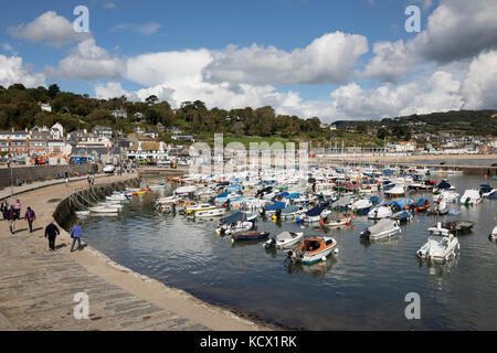 View over boats moored in The Cobb and the old town behind, Lyme Regis, Dorset, England, United Kingdom, Europe Stock Photo