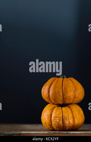 Autumn pumpkins against a dark background Stock Photo
