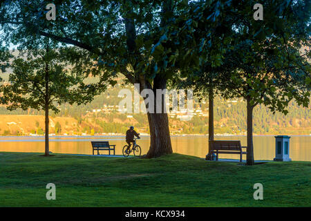 Cyclist, City Park, Kelowna, Okanagan Region, British Columbia, Canada. Stock Photo