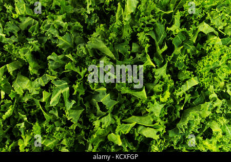 Chopped kale in a background pattern. Stock Photo