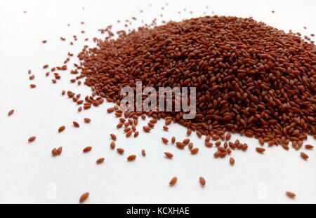 Garden Cress Seeds Stock Photo