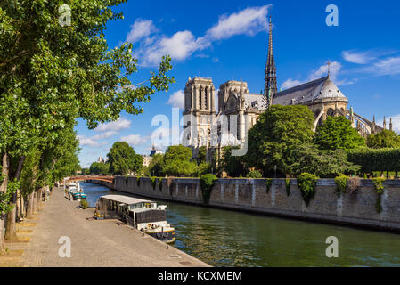Notre Dame de Paris cathedral with the Seine River in Summer. Paris, France Stock Photo