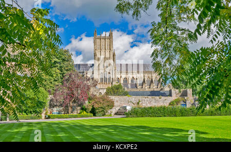WELLS SOMERSET ENGLAND THE CATHEDRAL SEEN ACROSS THE GREEN  FROM THE ENTRANCE OF THE BISHOPS PALACE Stock Photo