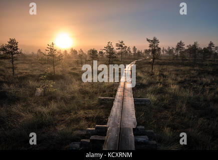 Scenic view from swamp with wooden path at autumn morning in Torronsuo National park, Finland Stock Photo