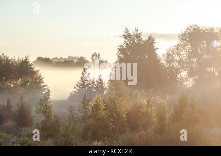 Beautiful morning scene. Latvian landscape with foggy fields. Stock Photo