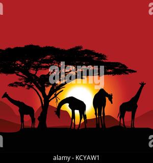 African savanna landscape at sunset, Silhouettes of animals and plants ...