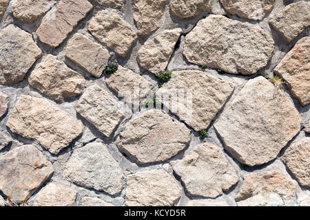 Stone and mortar rustic wall texture with weeds growing in the cracks Stock Photo