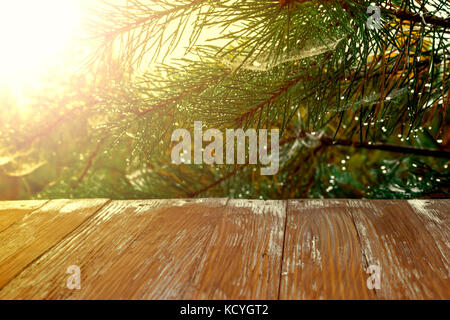 Empty rustic wood table top on christmas tree branches background with spider web in forest. Can montage or display your products. Stock Photo