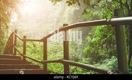 Hiking trail through the foggy jungle with sunlight commming through Stock Photo