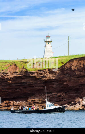 Cape Tryon Lighthouse, Cape Tryon, Prince Edward Island, Canada, boat, double-crested cormorant, Phalacrocorax auritus, bird, cliffs, ocean Stock Photo