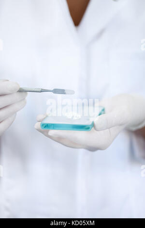 Dentist making fillings, dental powder on glass plate Stock Photo