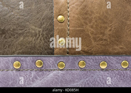 texture of colorful skin, still life photography, Studio Stock Photo