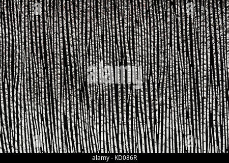 the texture of the leather silver color, Studio Stock Photo