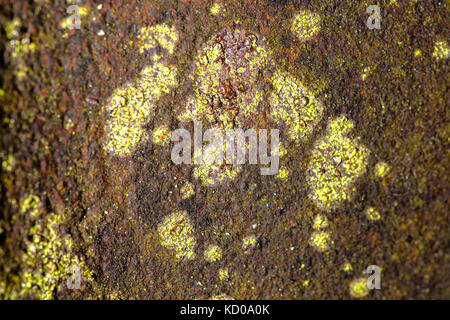 rust on metal large frame with a car Stock Photo