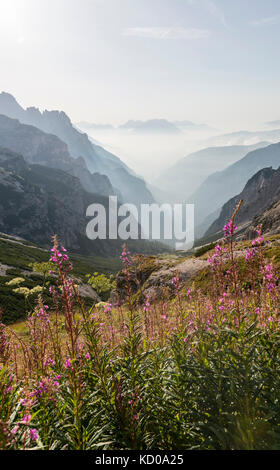 View into the valley, Dolomites of Sesto, South Tyrol, Trentino-South Tyrol, Alto-Adige, Italy Stock Photo