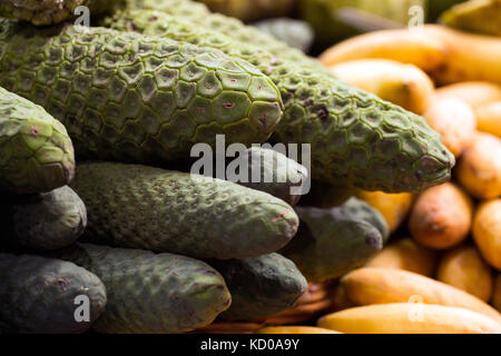 Pile of exotic Monstera Deliciosa fruit at sale on the market Stock Photo -  Alamy