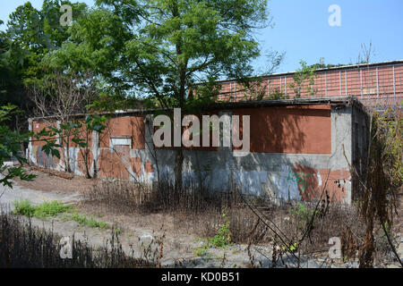 Old Abandoned Warehouse in the Woods Stock Photo