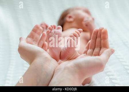 Baby feet in mother hands Stock Photo
