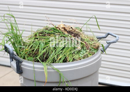 Grass clippings in rubbish bin Stock Photo