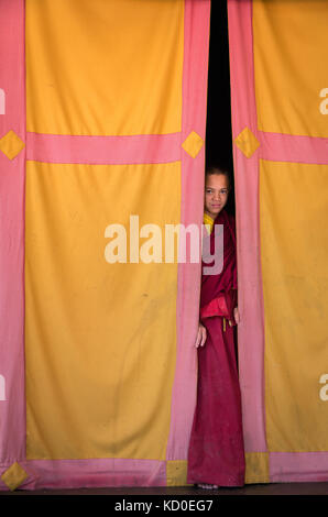 Young monk looking out from behind a curtain, Amitabha Monastery, Kathmandu Valley, Kathmandu, Nepal Stock Photo