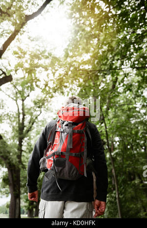 Senior man walking in forest, carrying backpack, rear view Stock Photo
