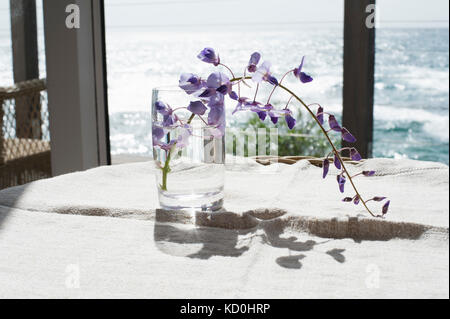 Cut flower in glass of water Stock Photo