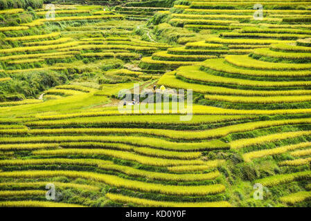 Baise, China. 8th Oct, 2017. (EDITORIAL USE ONLY. CHINA OUT).The Baze rice terraced field can be seen at Baze Village, Baise, southwest China's Guangxi. Credit: SIPA Asia/ZUMA Wire/Alamy Live News Stock Photo