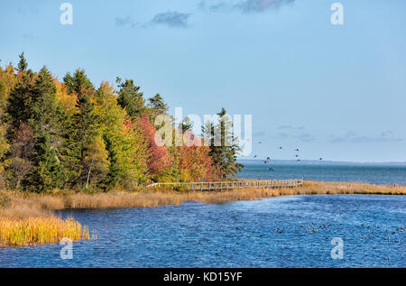 Spence Cove, Botsford, Westmorland County, New Brunswick, Canada Stock Photo