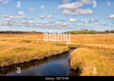 Fox Creek, Botsford, Westmorland County, New Brunswick, Canada Stock Photo