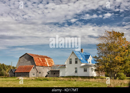 Farm, Botsford, Westmorland County, New Brunswick, Canada Stock Photo