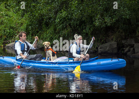 Canoe with couple and dog going down, People canoeing Otava river, Vacations in summer, Czech Republic Man Woman dog summer Stock Photo