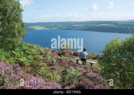 Walker resting in Abriachan Woods overlooking Loch Ness near Drumnacrochit by  Scotland. Stock Photo
