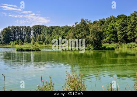 Sunny summer landscape. Beautiful pond and blue sky. Stock Photo