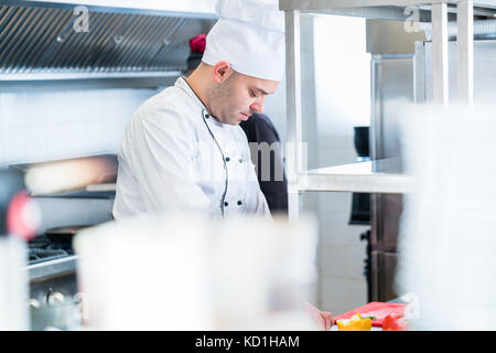 Chefs in their kitchen working Stock Photo