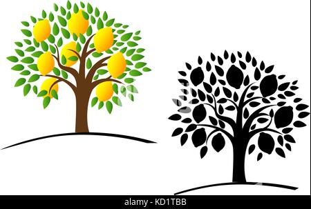 Lemon tree with green leaves Stock Vector