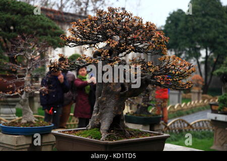 Chinese Garden Stock Photo