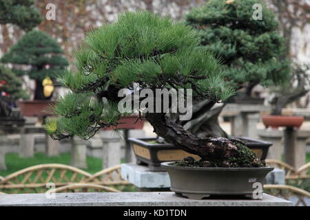 Chinese Garden Stock Photo