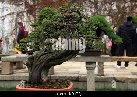 Chinese Garden Stock Photo