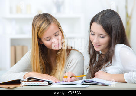 two students studying together Stock Photo