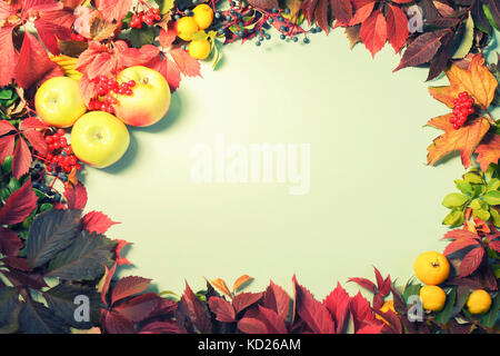 Autumn arrangement of autumn leaves and fruits, top view, Copyspace, background, frame Stock Photo