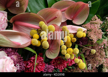Yellow craspedia flowers (also known as billy buttons or woollyheads), together with pink roses, anthurium,chrysanthemum and sedum flowers. Stock Photo