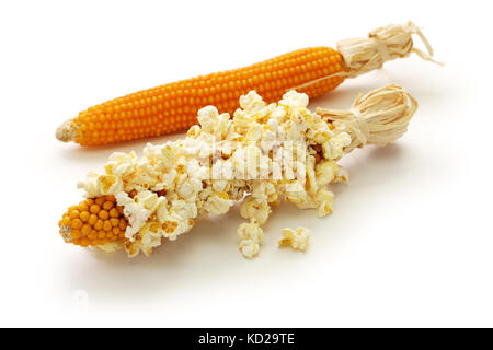 popcorn on the cob isolated on white background Stock Photo