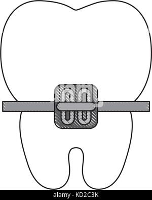 tooth with bracket icon over white background vector illustration Stock ...