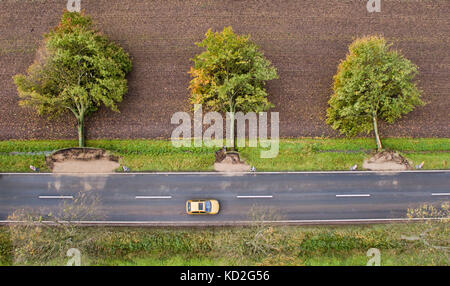 Rautenberg, Germany. 6th Oct, 2017. Three trees lie uprooted by a street near Rautenberg, Germany, 6 October 2017. A farmer pushed some of the trees which were damaged during the storm to the side of the road with a wheel loader. Credit: Julian Stratenschulte/dpa/Alamy Live News Stock Photo