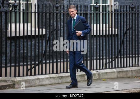 London, UK. 10th Oct, 2017. Gavin Williamson MP, Chief Whip, arrives at 10 Downing Street for a Cabinet meeting. Credit: Mark Kerrison/Alamy Live News Stock Photo