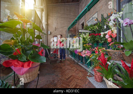 Florist working in shop Stock Photo