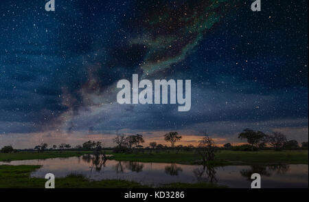 Starry night sky over swamp, Okavango Delta, Botswana, Limpopo, South Africa, Africa Stock Photo